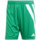 6. Herren adidas Fortore 23 Shorts grün und weiß IQ3209