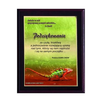 2. Kunststoffdiplom mit Farblaminat