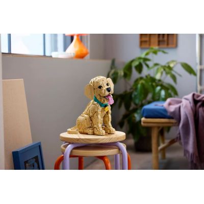 15. LEGO 11384 Icons – Golden Retriever Welpe