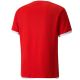 2. Puma teamLIGA Trikot M 704917 01