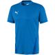 3. Puma teamGOAL 23 Trikot M 704171 02