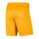 3. Nike Dry Park III M BV6855-739 Shorts