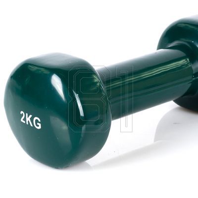 18. Vinyl dumbbell PROfit 0.5kg DK 4102