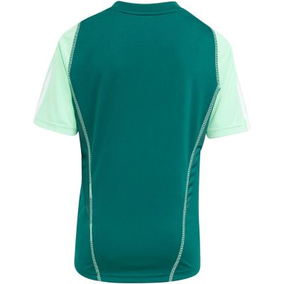 7. adidas Tiro 23 Wettkampftrikot für Kinder grün HU1300