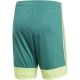 10. adidas M Tastigo 19 Shorts DP3251