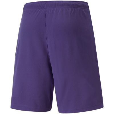 6. Puma teamRise Short Prist M 704942 10