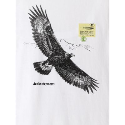 6. Herren-T-Shirt mit Aufdruck, regulär, Größe 4F 4FKAW26TTSHM4499-10S