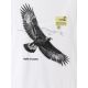 6. Herren-T-Shirt mit Aufdruck, regulär, Größe 4F 4FKAW26TTSHM4499-10S