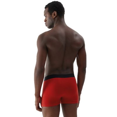 10. Boxershorts 4F M027 1 M 4FAW23UBXSM027 91S