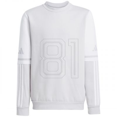 Adidas Squadra 25 Sweat Crew Jr JD4824 sweatshirt