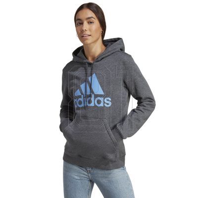 4. Adidas Big Logo FL R HD W IC9845 Sweatshirt