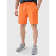 Schnelltrocknende Trainingsshorts für Herren 4F 4FWSS25TFSHM0911-70S