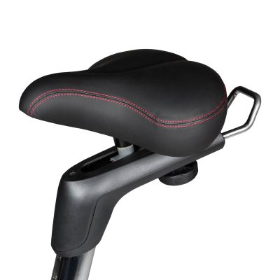 30. Flow Fitness DHT2500i programmiertes Fahrrad