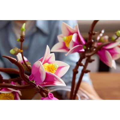 15. LEGO Botanicals 11510 - Magnolienzweige