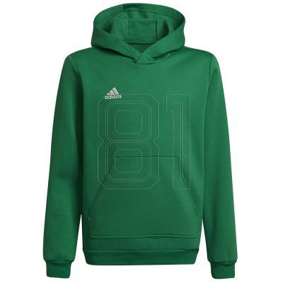 Sweatshirt adidas Entrada 22 Hoody Y Jr HI2143