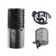 Aston Microphones Origin Bundle: Kondensatormikrofon + Halterung + Popfilter