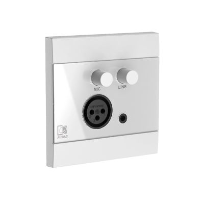 2. AUDAC WP205/W Wandmodul, XLR-Mikrofon + 3,5-mm-Klinkenbuchse, weiß