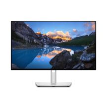 DELL LED-Monitor 23,8" U2422HE