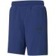 5. Puma Amplified Shorts M 585786 12