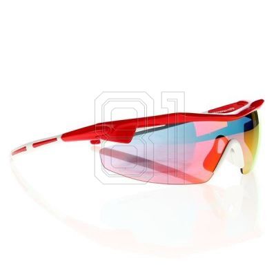 2. Goggle E690-3 Sonnenbrille