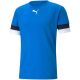 5. Puma teamRise Trikot M 704932 02