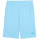 Puma ESS No.1 Logo 10" Herrenshorts (Größe S) Hellblau 682595 45