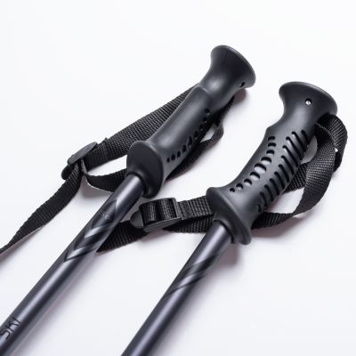 5. ALPINE SKI II Stöcke