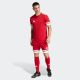 6. adidas Squadra 25 M JE7745 Shorts