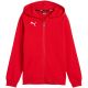 3. Puma teamGoal Casuals Kapuzen-Sweatshirt für Kinder rot 658596 01