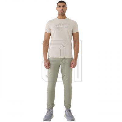 5. T-Shirt 4F M2004 M 4FWSS25TTSHM2004 12S