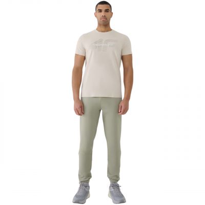 5. T-Shirt 4F M2004 M 4FWSS25TTSHM2004 12S