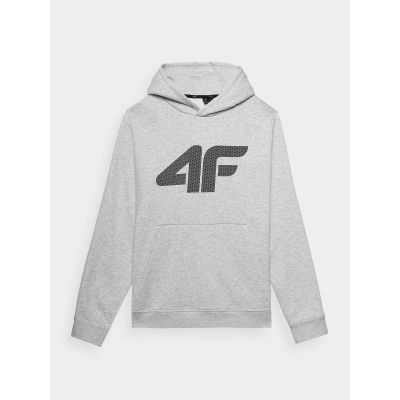 5. Herren Sweatshirt mit Kapuze, offen, 4F 4FWMM00TSWSM1464-27M