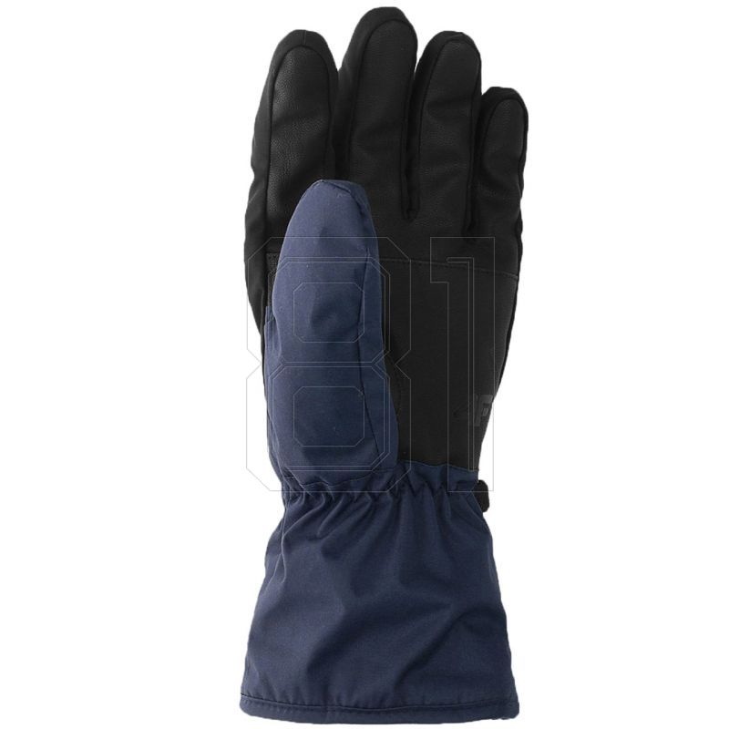 2. Skihandschuhe 4F FNK M096 M 4FAW23AFGLM096 31S