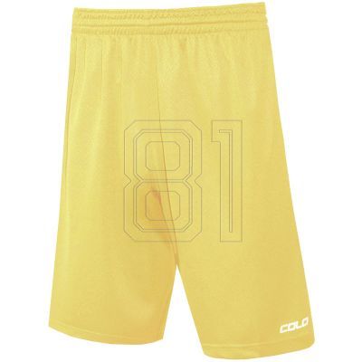 Colo Spring 04 Basketballshorts