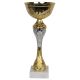 Pokal Tryumf 9266