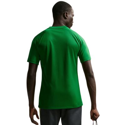 3. Nike Dri-Fit Park VIII Herren-T-Shirt grün HV8173 302