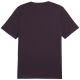 3. Puma Essential Logo Tee M 586667 18
