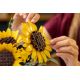 30. LEGO Botanische Kollektion 11502 – Sonnenblumenstrauß