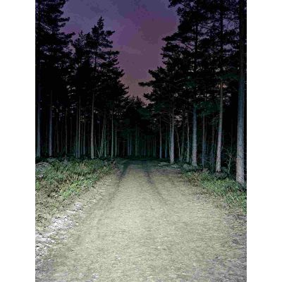 12. BOOKMAN Volume Front 800 Fahrradlicht