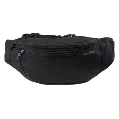 3. Iguana Icebelt 5817 Niere