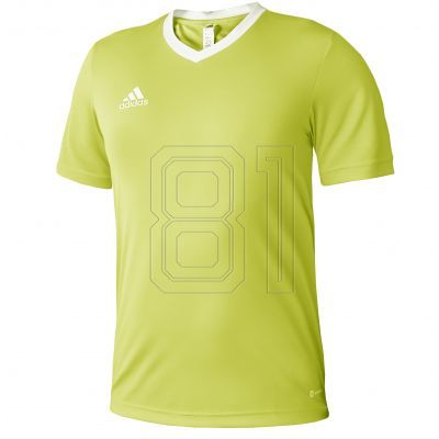 adidas Entrada 22 Trikot Jr HC5079