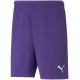 5. Puma teamRise Short Prist M 704942 10