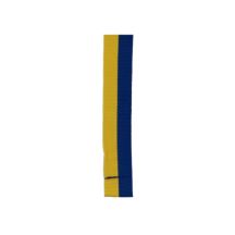 Band 20 mm – gelb-blau