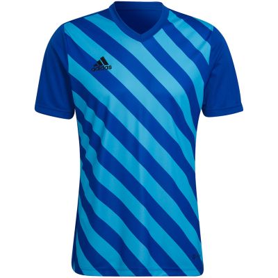 10. adidas Entrada 22 Graphic Jersey M HF0116