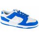 Nike Dunk Low M FN3416-001 shoes
