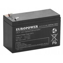 EUROPOWER EV Serie AGM Batterie 12V 8Ah / C10 (Lebensdauer 6-9 Jahre) T1