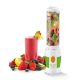 5. SM3380 CONCEPT Smoothie-Mixer
