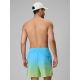 2. Herren-Boardshorts 4F 4FRSS26UBDSM224-31S