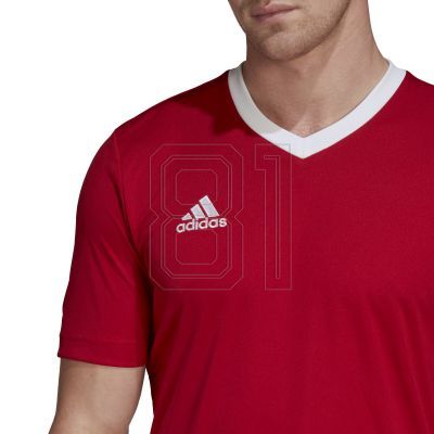 5. Adidas Entrada 22 M T-shirt H61736