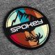 5. Spokey Icecube 3 GY/OE 927380 Thermotasche